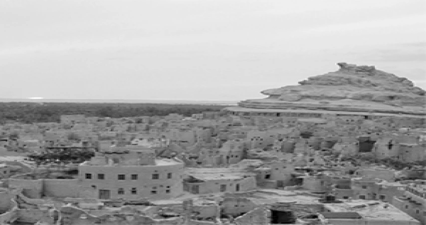 shams egypt tours