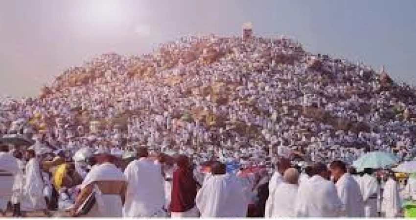 shams egypt tours