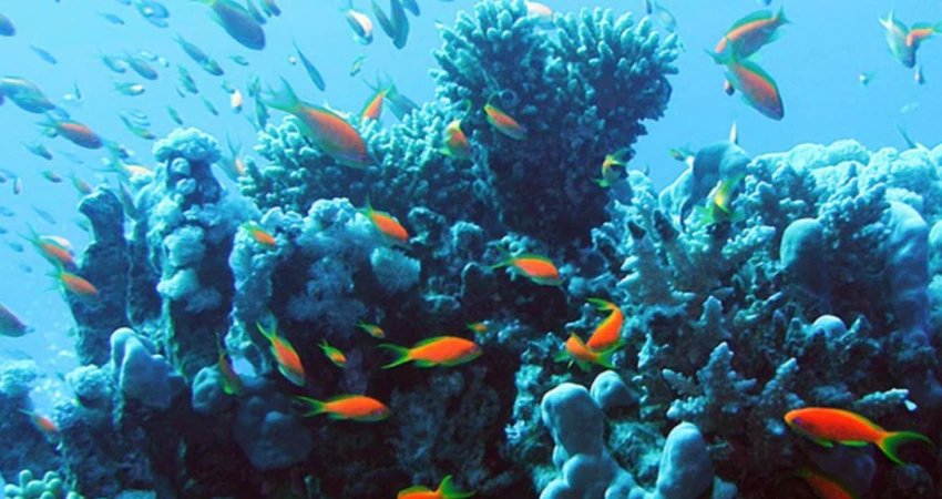 Hurghada